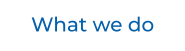 What we do